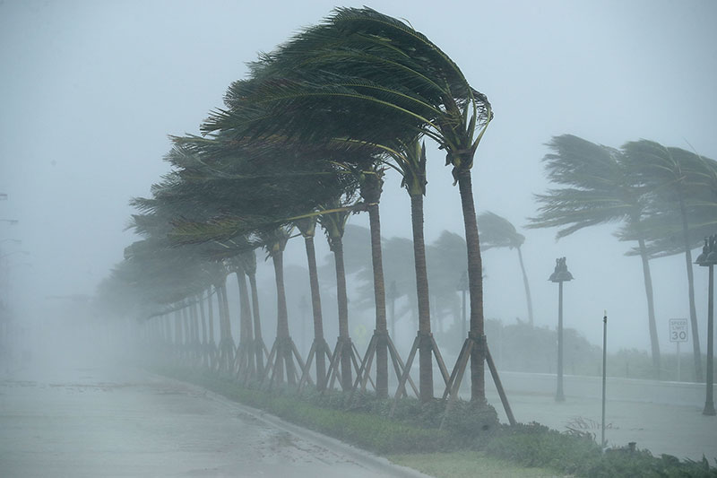 Hurricane Damage