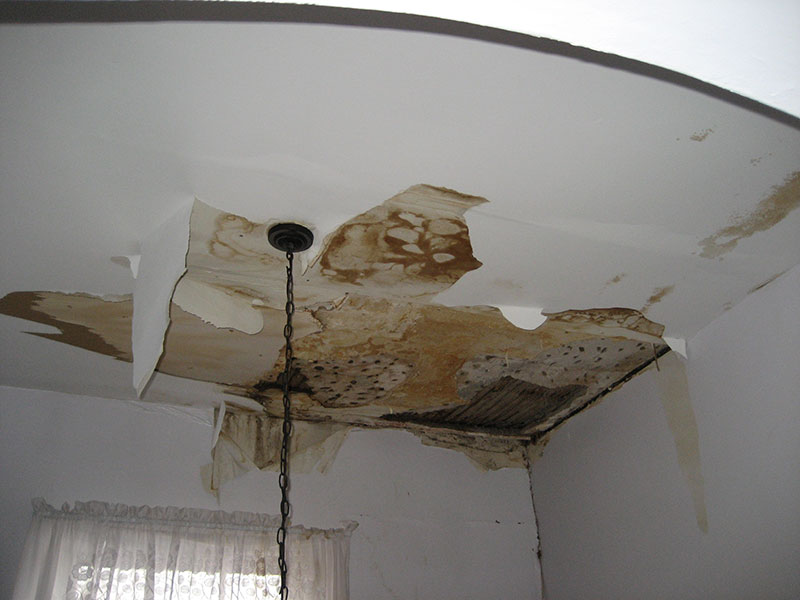 Mold Damage