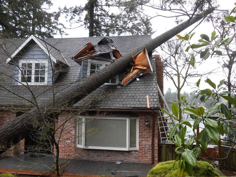 Storm Damage